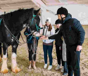 2 Horse Riding Lessons