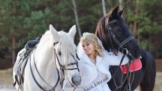 Wedding black and white horses in Kyiv фото