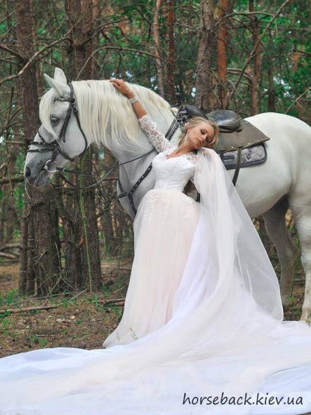 білий кінь для фотосесії фото