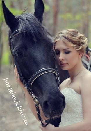 весільна фотосесія з білим конем фото