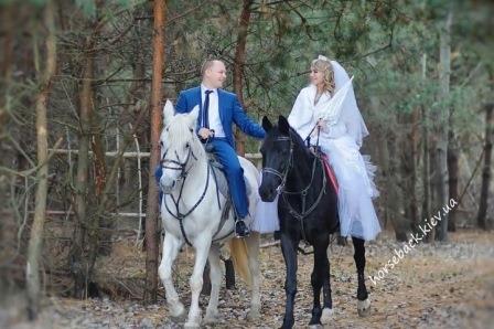 Весільна фотосесія на конях київ фото