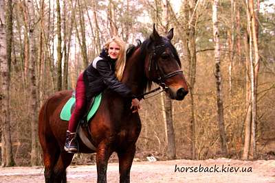 Катання на конях Київ фото