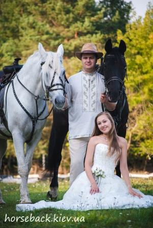 horses for wedding photo
