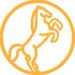The “Centaur” Equestrian Club was established in 2010