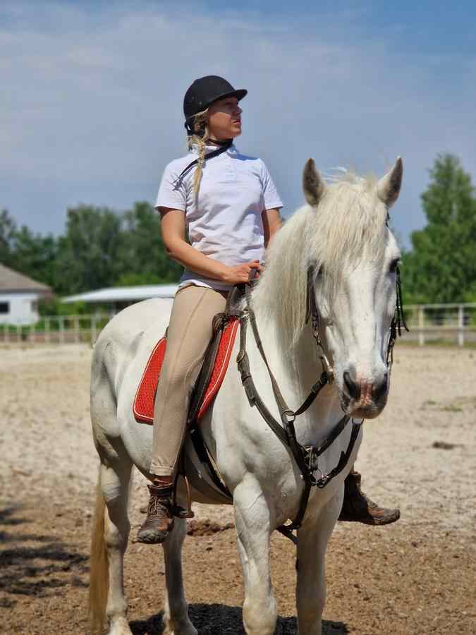 Horse riding lesson photo