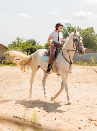 Horse riding lesson in Kyiv photo